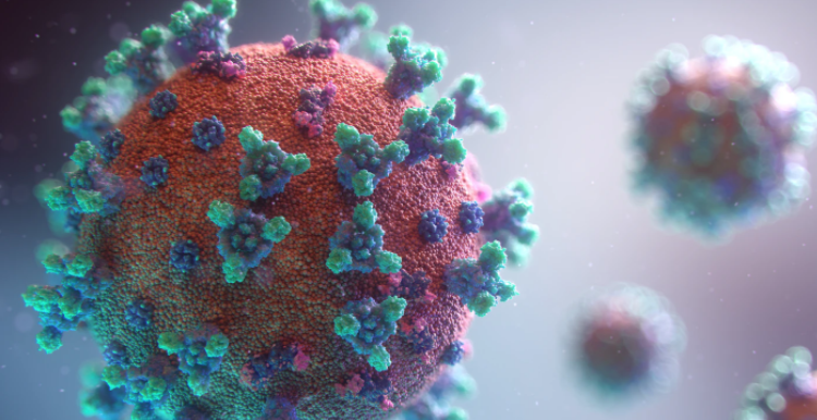 A magnified image of the COVID-19 virus
