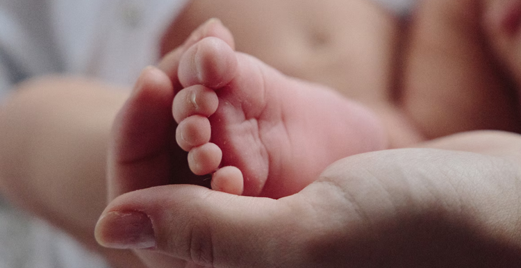 Close up of mother's hands holding new born baby's feet 
