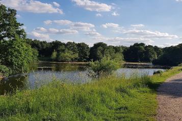 A photo of a park
