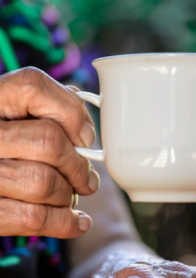 Elderly lady's hands holding a cup of tea